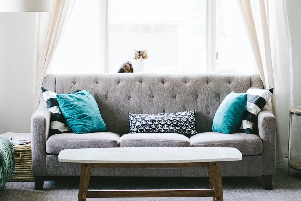 how to choose the right upholstery cleaning service in sydney