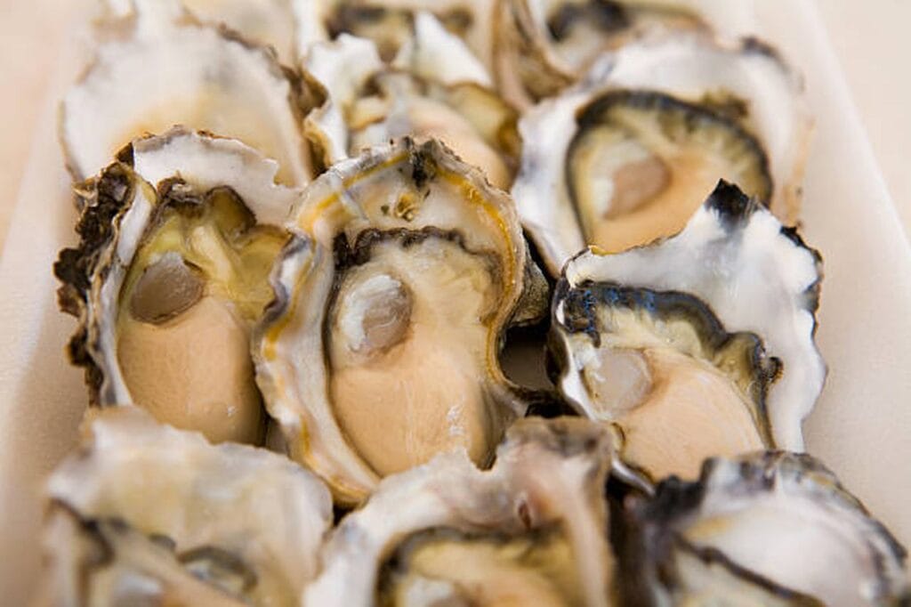 Place-To-Buy-Oysters