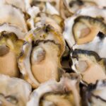 Place-To-Buy-Oysters