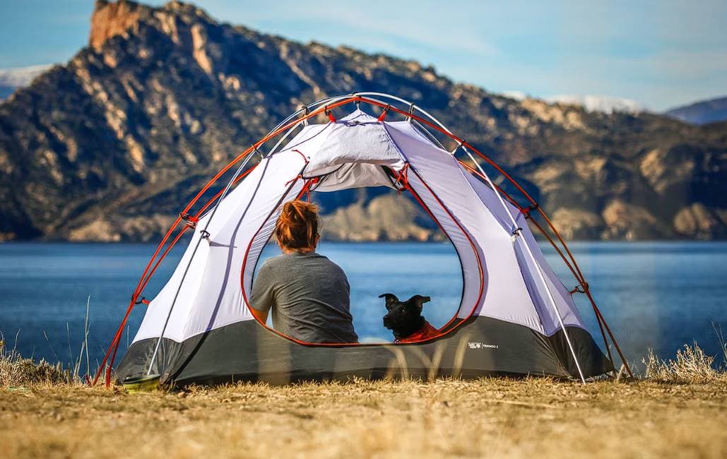 what are the best dog friendly camping spots in sydney 1